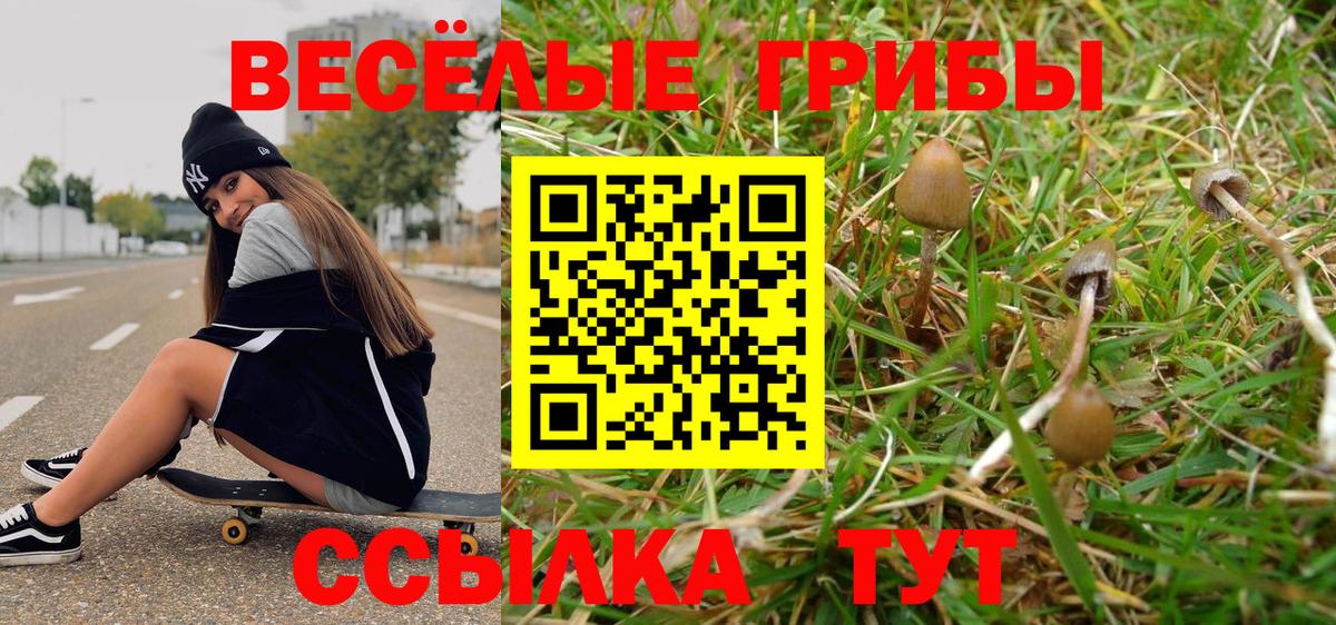 Муравленко  Галлюциногенные грибы MAGIC MUSHROOMS  Галлюциногенные грибы GOLDEN TEACHER  Вход с VPN 